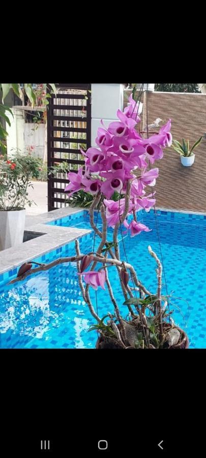 Riverlife Homestay Hoi An Bagian luar foto