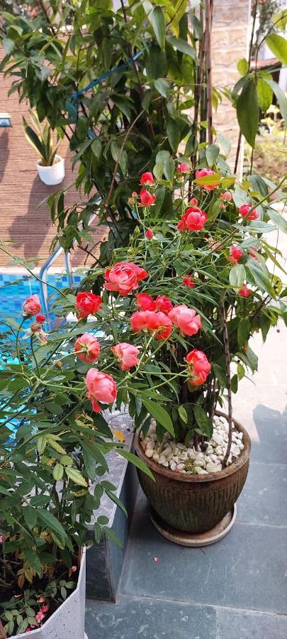 Riverlife Homestay Hoi An Bagian luar foto